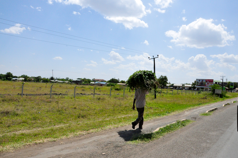 Melanie Heinrich - Travel Images - Nairobi Kenya -Arusha, Tanzania